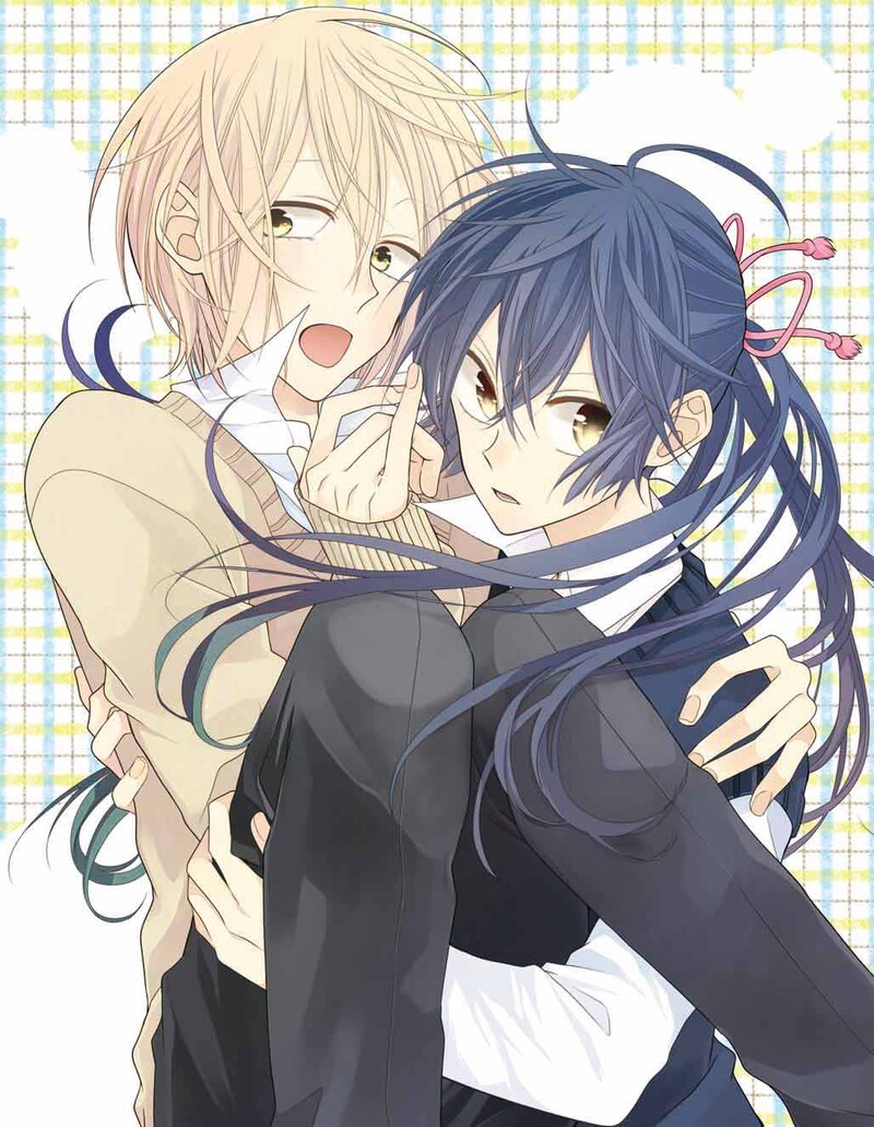 「水玉ハニーボーイ」カット