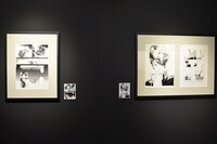 「曇天に笑う」原画展の様子。