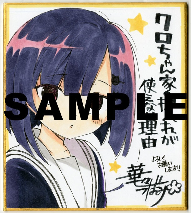 C104 びびっどぼっくす 椎花びび 直筆イラスト ミニ色紙 竜華