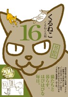 「くるねこ 16」帯付き