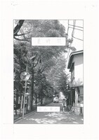 白山宣之によるイラスト。