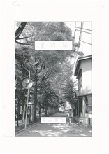 白山宣之によるイラスト。