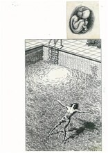 白山宣之によるイラスト。