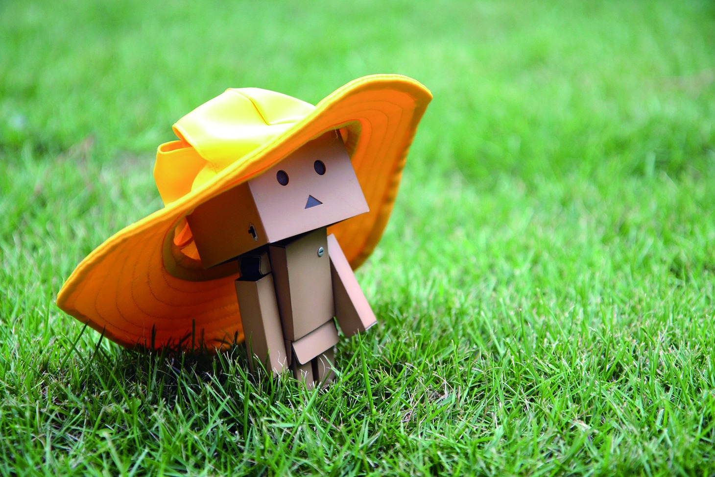 「ダンボー写真展」の展示予定作品。