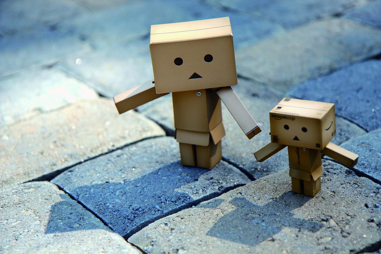 「ダンボー写真展」の展示予定作品。