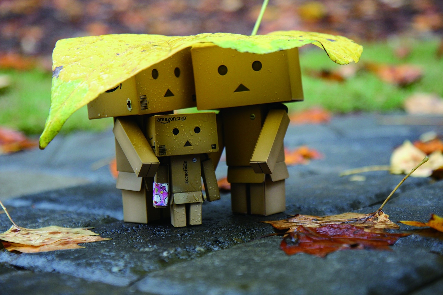 「ダンボー写真展」の展示予定作品。