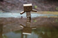 「ダンボー写真展」の展示予定作品。