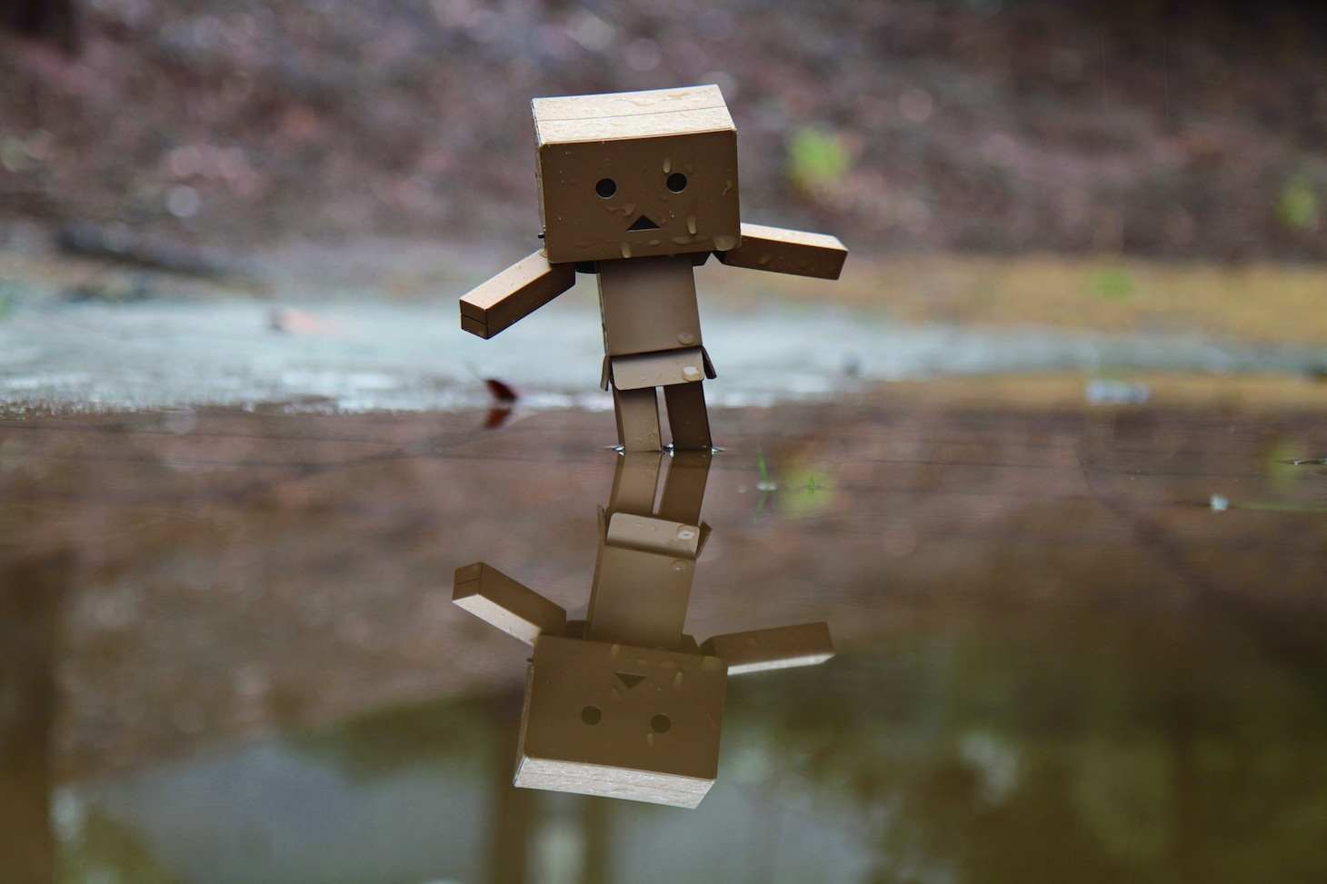 「ダンボー写真展」の展示予定作品。