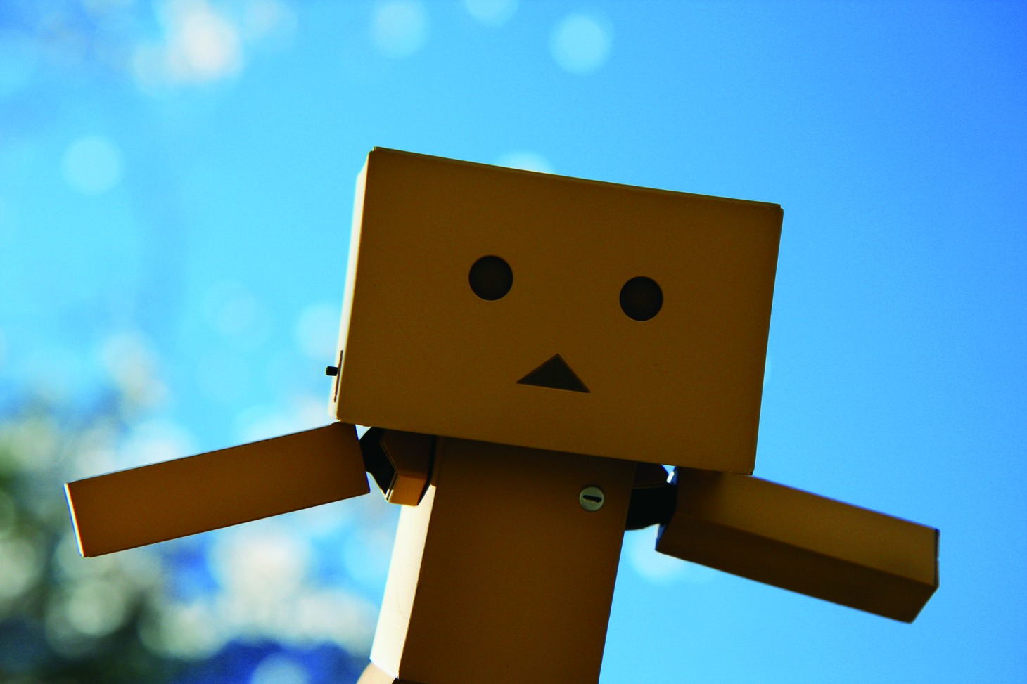 「ダンボー写真展」の展示予定作品。