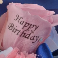 弱虫ペダルグッズ プレミアムライン オリジナルBirthdayフォトローズ [泉田塔一郎]