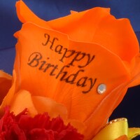 弱虫ペダルグッズ プレミアムライン オリジナルBirthdayフォトローズ [田所迅]