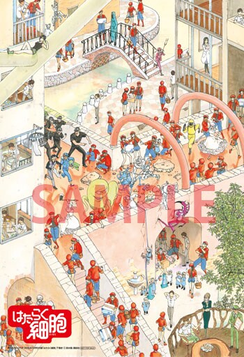 「はたらく細胞」下敷きの表面。