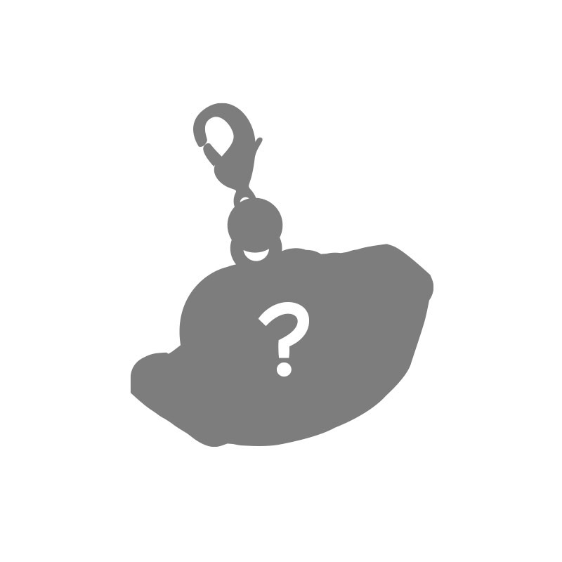 「独身OLのすべて メタルチャーム」のシークレット。