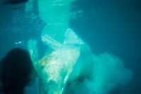 「レイニー＆アイロニーの少女コレクション」場面写真。