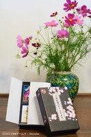 「刀剣乱舞-ONLINE- せりふかるた」の化粧箱。