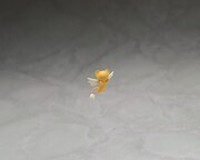 「S.H.Figuarts 木之本桜（扉をあけて）」