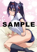 月刊ドラゴンエイジ11月号付録の下敷き。