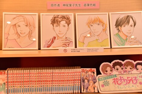 神尾葉子の描き下ろしイラスト。