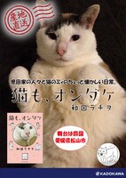 「猫も、オンダケ」ポスター。
