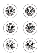 「ジョジョの奇妙な冒険 スターダストシューターズ × TOWER RECORDS イギーマシュマロ」