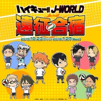 「ハイキュー!! J-WORLD遠征合宿」のアイコン。