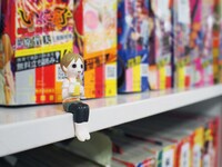 ゼノン5周年記念で100名にプレゼントされるワカコのフィギュア。(c)新久千映/NSP 2011