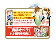 「青楼オペラ」POP