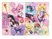 クリアファイルの1種。