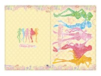 クリアファイルの1種。