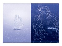 クリアファイルの1種。