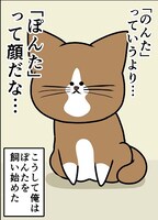 「鴻池剛と猫のぽんた ニャアアアン！」より。