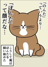 「鴻池剛と猫のぽんた ニャアアアン！」より。