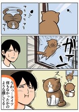 「鴻池剛と猫のぽんた ニャアアアン！」より。