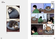 「鴻池剛と猫のぽんた ニャアアアン！」より。