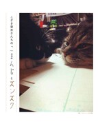 「漫画家の猫」より、こざき亜衣の愛猫。