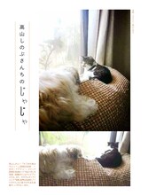 「漫画家の猫」より、高山しのぶの愛猫。