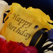 弱虫ペダルグッズ プレミアムライン オリジナルBirthdayフォトローズ [金城真護]