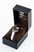 「ザップ・レンフロモデル」の時計。