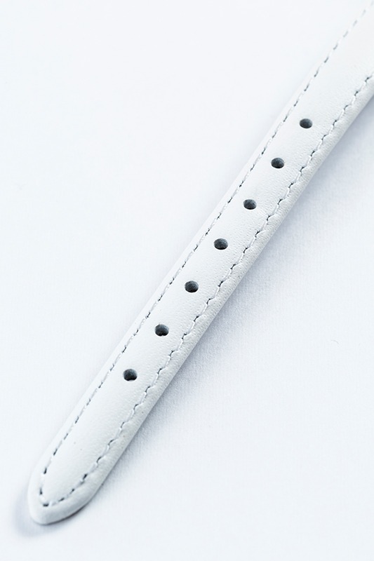 「ザップ・レンフロモデル」の時計。