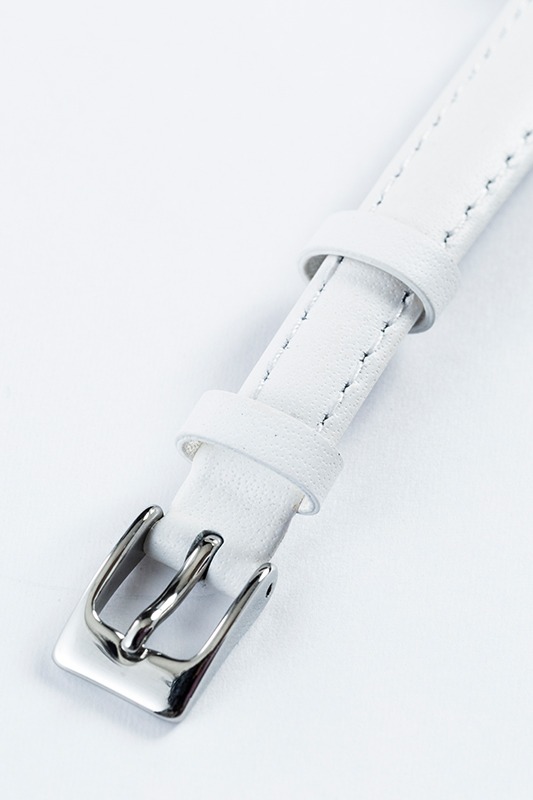 「ザップ・レンフロモデル」の時計。