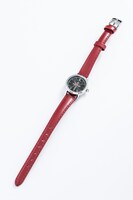 「クラウス・V・ラインヘルツモデル」の時計。