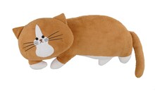 「鴻池剛と猫のぽんた まくらクッション」