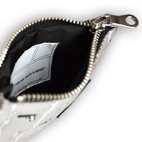 「ウォリックのパスポーチ」