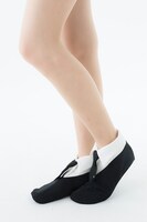 エリマキソックス