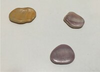 「実録！34歳オタクが16歳女子高生と付き合ってみた件」第1話で、主人公にヒロイン・チハルが渡した思い出の貝殻。