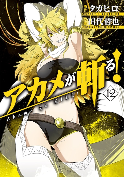 発売中の「アカメが斬る！」12巻。