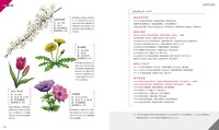 巻末に収録されている「花×歌詞図鑑」。