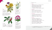 巻末に収録されている「花×歌詞図鑑」。