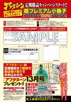 「アフタヌーン定期購読申込書」サンプル。