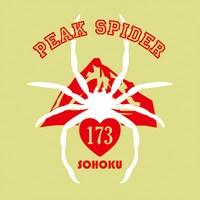 「ピークスパイダー 巻島裕介」半袖Tシャツの新色・ナチュラル。